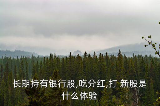 長(zhǎng)期持有銀行股,吃分紅,打 新股是什么體驗(yàn)