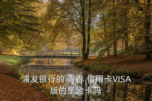 浦發(fā)銀行信用卡青春信用卡額度多少,興業(yè)銀行信用卡和浦發(fā)銀行信用卡哪個(gè)好