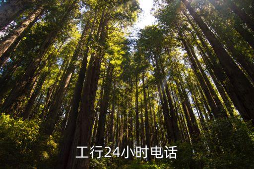 工行24小時(shí)電話