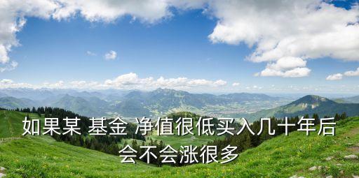 如果某 基金 凈值很低買入幾十年后會不會漲很多