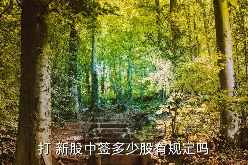 新股申購能中多少股