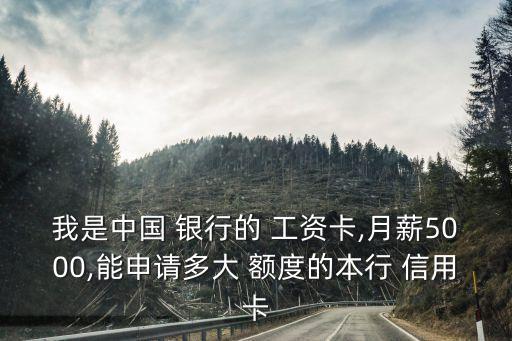 在工資卡銀行辦信用卡額度是多少,發(fā)工資的銀行辦信用卡好辦嗎