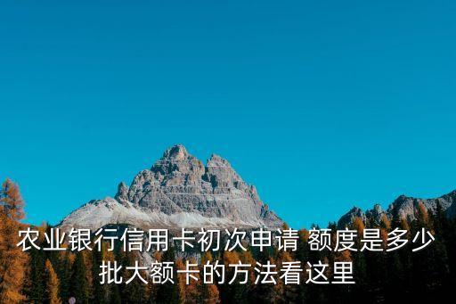 農(nóng)業(yè)銀行信用卡初次申請(qǐng) 額度是多少批大額卡的方法看這里