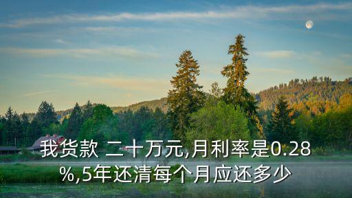 我貨款 二十萬(wàn)元,月利率是0.28%,5年還清每個(gè)月應(yīng)還多少