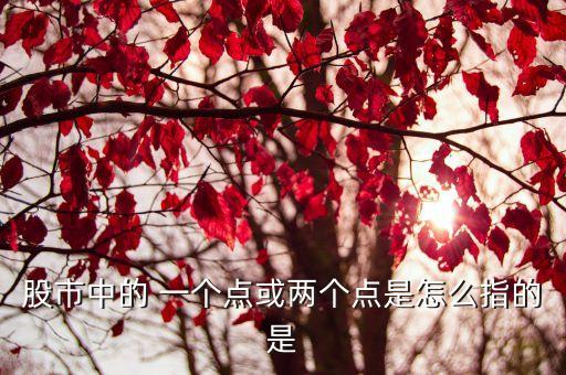 成交價(jià)的一個(gè)點(diǎn)是多少錢