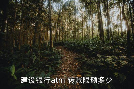 建行轉(zhuǎn)賬能轉(zhuǎn)賬多少,建行向中行轉(zhuǎn)賬為什么不能實(shí)時(shí)轉(zhuǎn)賬?