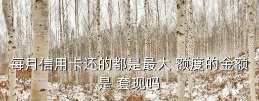 每月信用卡還的都是最大 額度的金額是 套現(xiàn)嗎