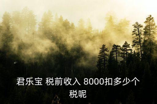 君樂寶 稅前收入 8000扣多少個稅呢