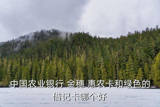金穗惠農(nóng)卡年費多少,農(nóng)業(yè)銀行金穗惠農(nóng)卡