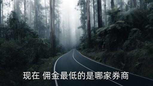 華泰證券網(wǎng)上開戶傭金是多少