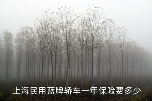  上海民用藍(lán)牌轎車一年保險費(fèi)多少