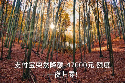 上海銀行降低額度多少
