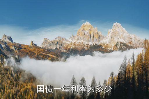 國(guó)債一年利率為多少