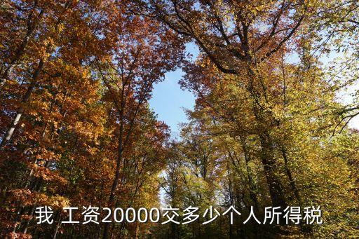 我 工資20000交多少個(gè)人所得稅