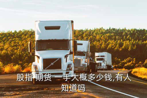股指期貨 一手 一點 多少錢,300股指期貨一手多少錢