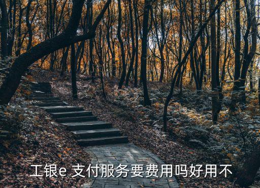  工銀e 支付服務要費用嗎好用不