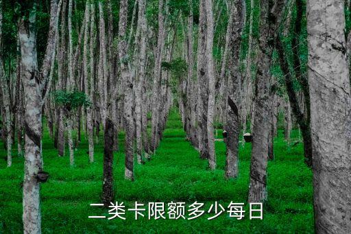 二類(lèi)卡限額多少每日