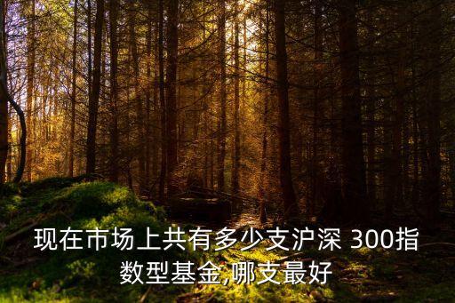 現(xiàn)在市場上共有多少支滬深 300指數(shù)型基金,哪支最好