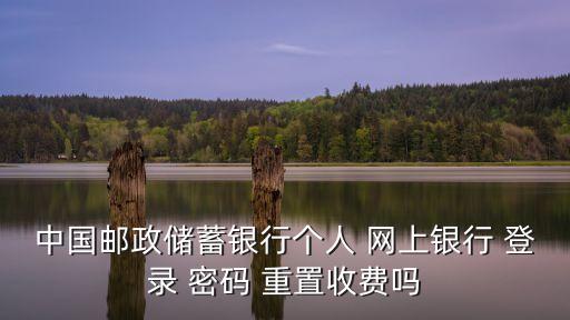 中國(guó)郵政儲(chǔ)蓄銀行個(gè)人 網(wǎng)上銀行 登錄 密碼 重置收費(fèi)嗎