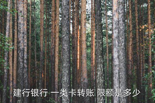 建行銀行 一類卡轉(zhuǎn)賬 限額是多少