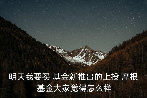 上投摩根基金凈值是多少,377016上投摩根基金凈值