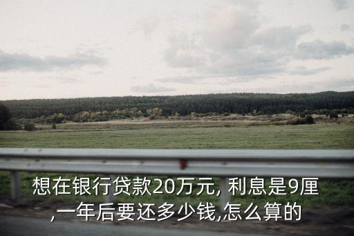 年化利息9厘是多少