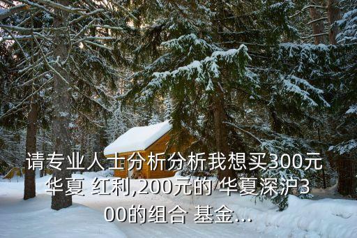 請專業(yè)人士分析分析我想買300元 華夏 紅利,200元的 華夏深滬300的組合 基金...