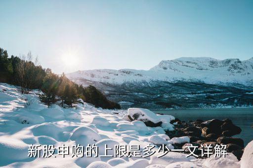  新股申購的上限是多少一文詳解