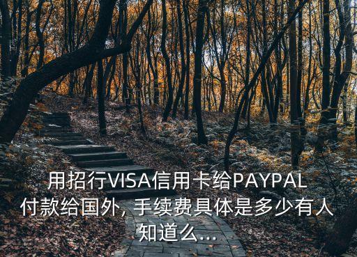 用招行VISA信用卡給PAYPAL付款給國外, 手續(xù)費具體是多少有人知道么...