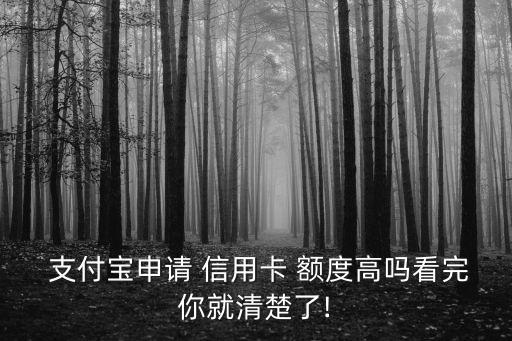 支付寶快速辦信用卡額度是多少錢,在支付寶辦信用卡多大額度