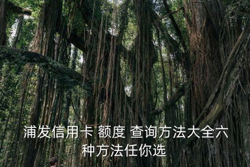  浦發(fā)信用卡 額度 查詢方法大全六種方法任你選