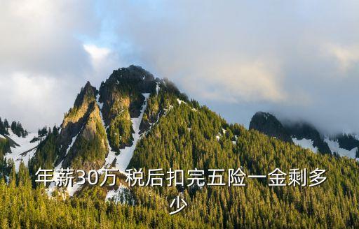  年薪30萬 稅后扣完五險(xiǎn)一金剩多少