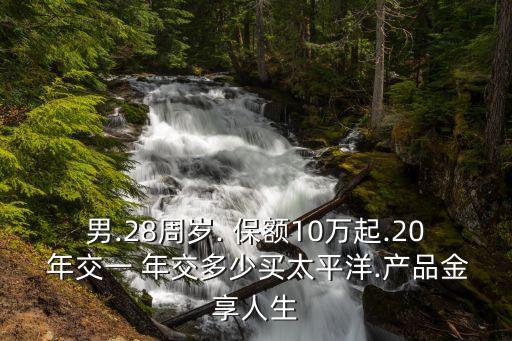 10萬保額 20年交 每年交多少錢