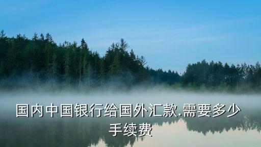 國(guó)內(nèi)中國(guó)銀行給國(guó)外匯款.需要多少 手續(xù)費(fèi)
