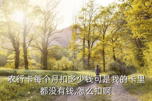 農(nóng)行的卡費(fèi)多少費(fèi)用,農(nóng)行卡小額費(fèi)是多少錢(qián)
