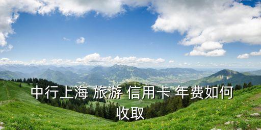  中行上海 旅游 信用卡 年費(fèi)如何收取