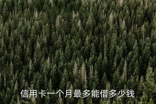 信用卡一個月最多能借多少錢