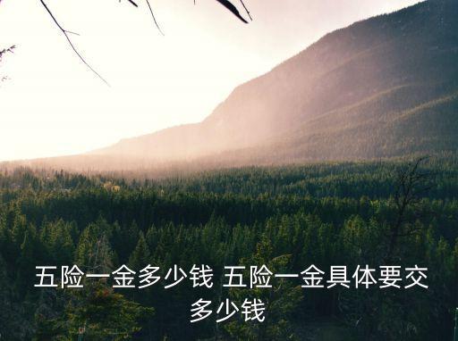  五險(xiǎn)一金多少錢 五險(xiǎn)一金具體要交多少錢