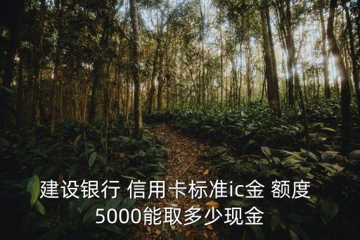 信用卡額度5000能刷多少