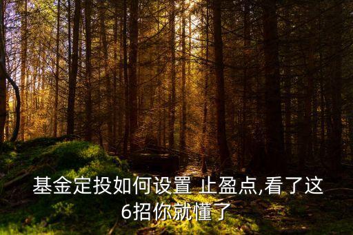 基金定投盈利多少止盈
