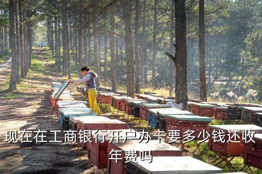 辦工銀靈通卡多少錢,工銀靈通卡能取錢嗎