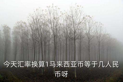 今天匯率換算1馬來西亞幣等于幾人民幣呀
