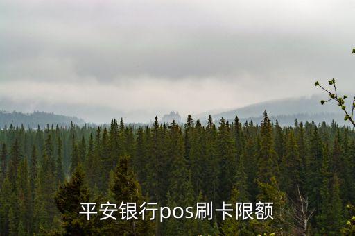 master額度多少錢,額度200,000是多少錢