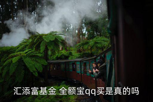 匯添富基金 全額寶qq買是真的嗎