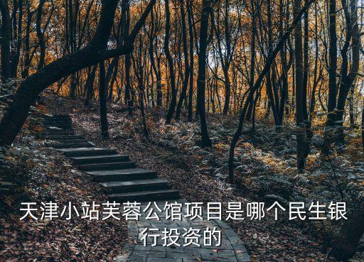  天津小站芙蓉公館項目是哪個民生銀行投資的