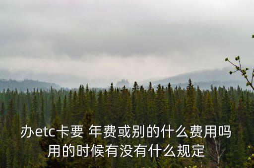 辦etc卡要 年費(fèi)或別的什么費(fèi)用嗎用的時(shí)候有沒(méi)有什么規(guī)定