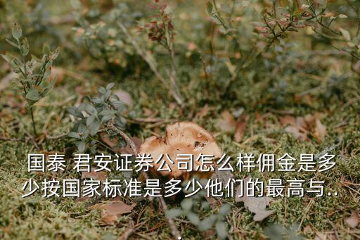 國泰君安期貨手續(xù)費多少