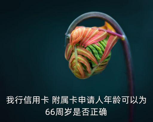 我行信用卡 附屬卡申請(qǐng)人年齡可以為66周歲是否正確