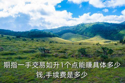股指期貨漲一個(gè)點(diǎn)賺多少