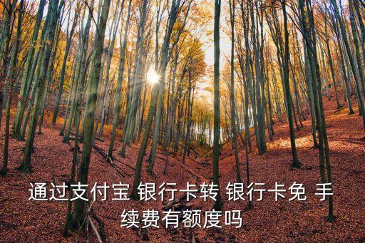 通過(guò)支付寶 銀行卡轉(zhuǎn) 銀行卡免 手續(xù)費(fèi)有額度嗎